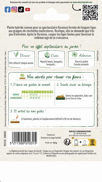 Fleurs - Digitale Excelsior Variée - MEDIA_PACKAGING_VERSO